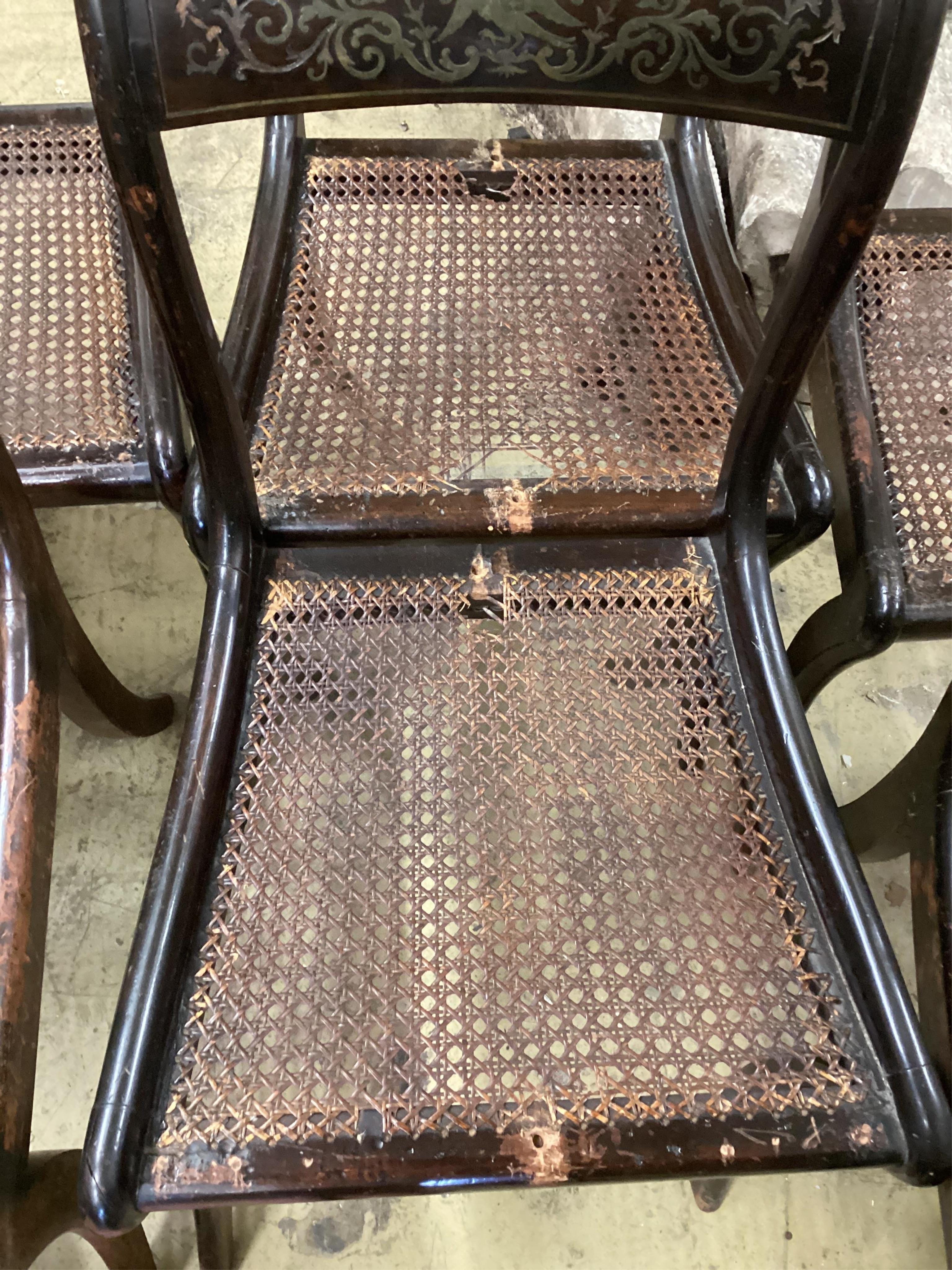 A set of six Regency rosewood and simulated rosewood dining chairs, the top rails inlaid with cut brass decoration, caned seats with slip-in cushions, on sabre legs. Condition - poor